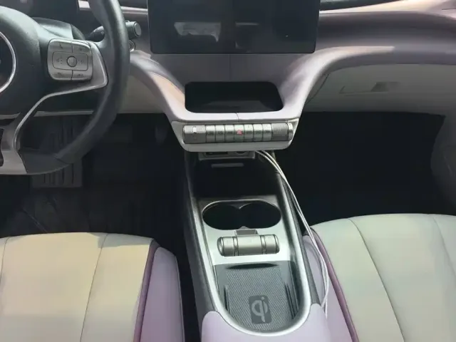 BYD Dolphin 2021 401km Knight Edition — Фото автомобиля 16