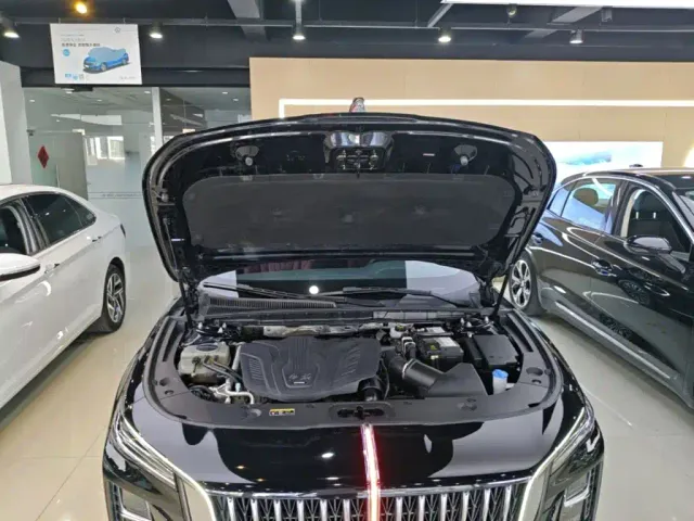 Hongqi H5 — Фото автомобиля 19
