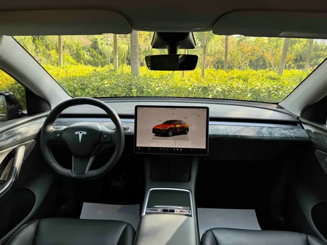 Tesla Model Y — Фото автомобиля 9