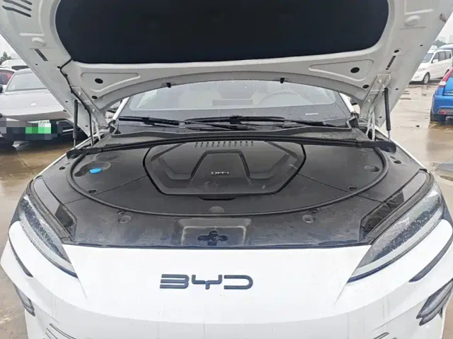 BYD Song PLUS — Фото автомобиля 19