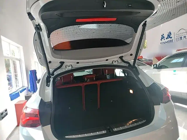 BMW X2 — Фото автомобиля 18
