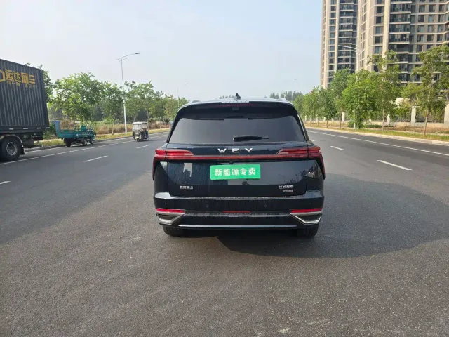 Wey Lanshan — Фото автомобиля 8