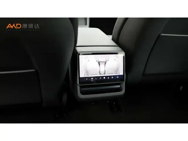 Tesla Model 3 — Фото автомобиля 10