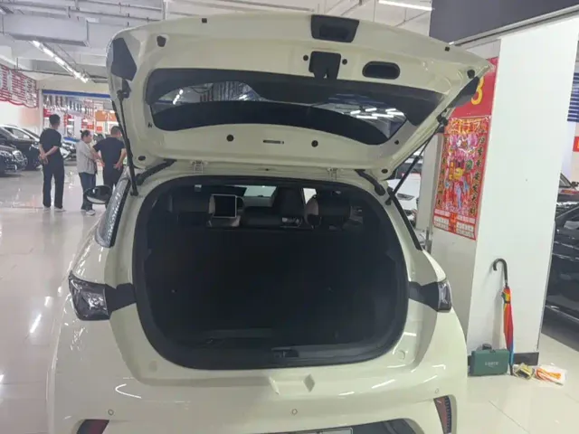 BYD Dolphin — Фото автомобиля 12