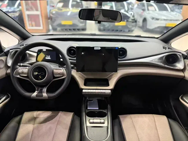 BYD Dolphin — Фото автомобиля 12