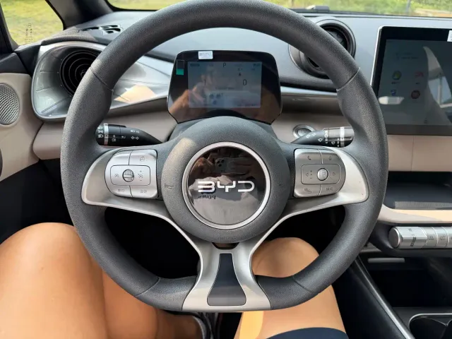 BYD Dolphin — Фото автомобиля 11