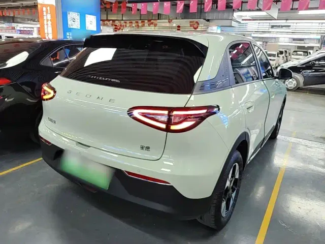Geely Starry Wish — Фото автомобиля 6