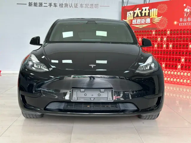 Tesla Model Y — Фото автомобиля 3