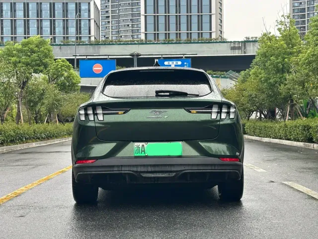 Ford Mustang Mach-E — Фото автомобиля 5