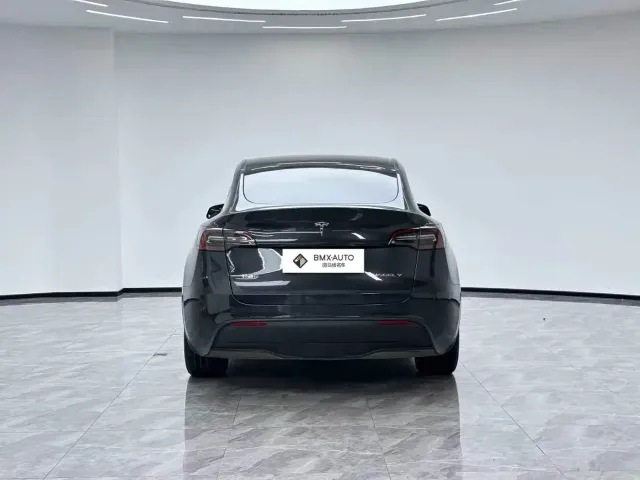 Tesla Model Y — Фото автомобиля 2
