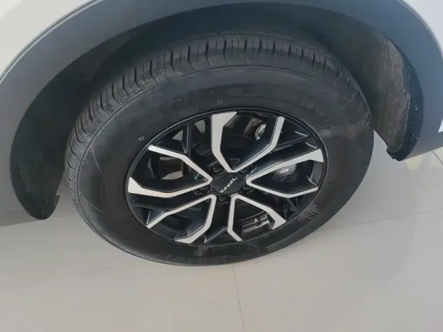 Haval Haval H6 2025 1.5T National Trend Urban Edition — Фото автомобиля 6