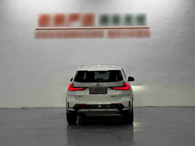BMW X1 — Фото автомобиля 8