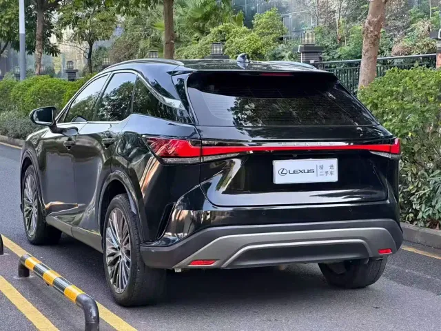 Lexus RX — Фото автомобиля 9