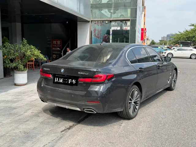 BMW 5 Series — Фото автомобиля 6