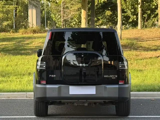 BYD FangChengBao Titanium 7 — Фото автомобиля 8