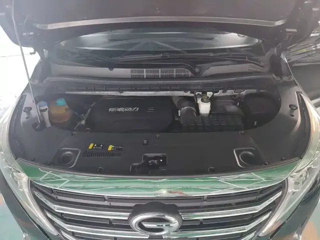 GAC Trumpchi Trumpchi M8 2021 Leading Show Series 390T Prestige Edition — Фото автомобиля 19