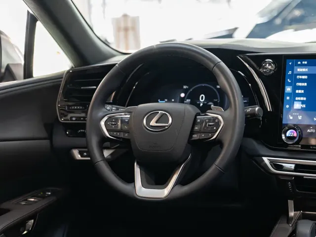 Lexus RX — Фото автомобиля 14