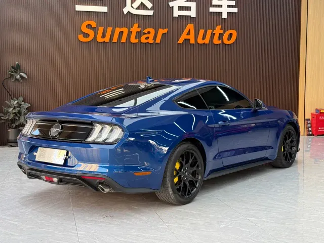 Ford Mustang — Фото автомобиля 6