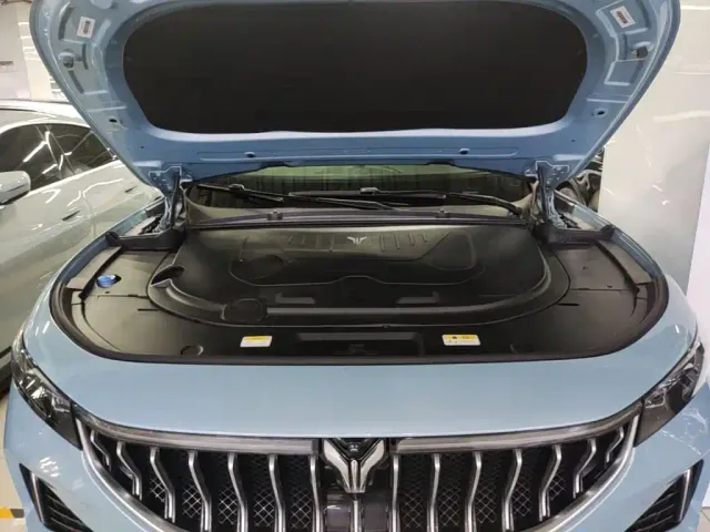 Voyah Auto VOYAH FREE 2021 AWD Standard Range Extender Exclusive Luxury Package — Фото автомобиля 19