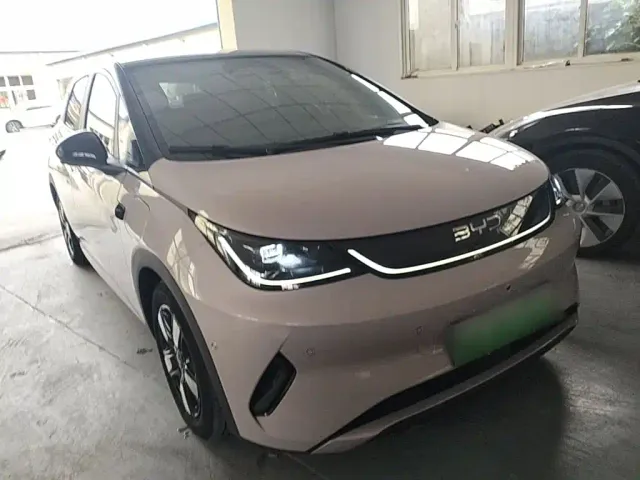BYD Dolphin — Фото автомобиля 3