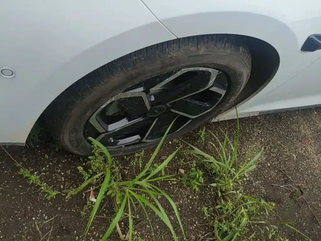 BYD Seal 06 DM-i Touring — Фото автомобиля 22