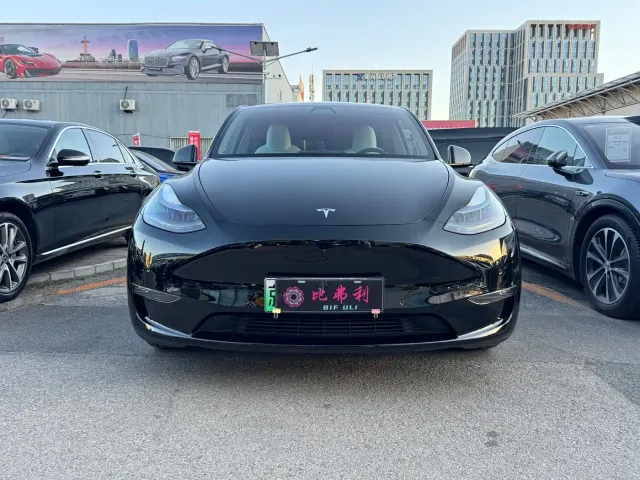 Tesla Model Y — Фото автомобиля 2