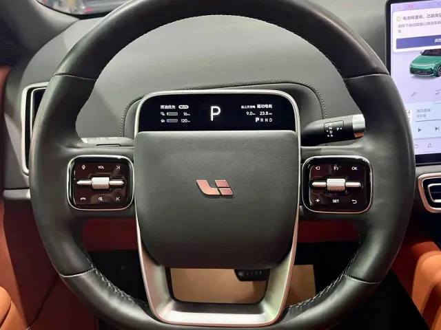 Li Auto L9 — Фото автомобиля 19