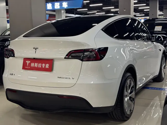 Tesla Model Y — Фото автомобиля 9