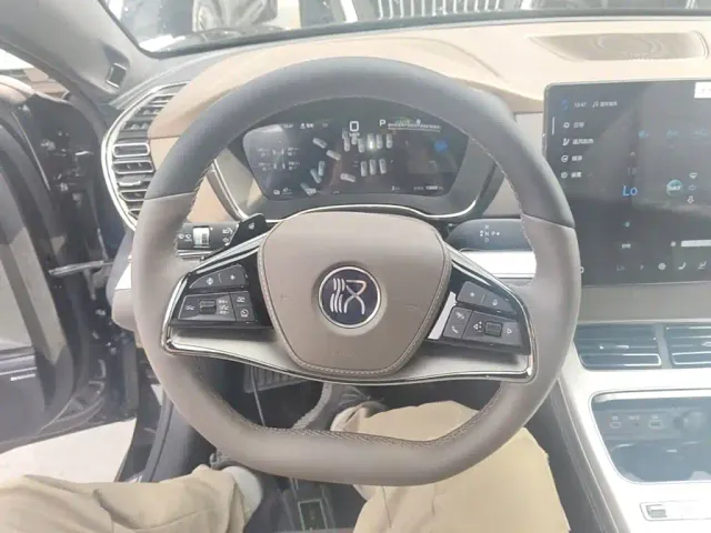 BYD Han — Фото автомобиля 10