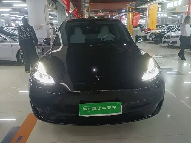 Tesla Model Y — Фото автомобиля 2