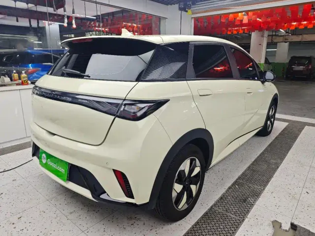 BYD Dolphin — Фото автомобиля 6