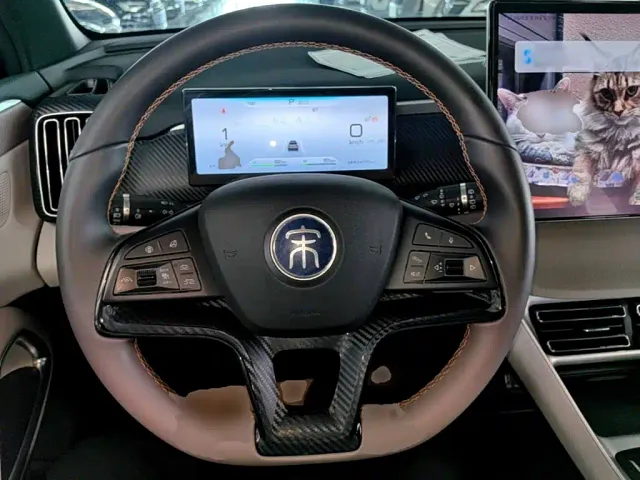 BYD Song Pro — Фото автомобиля 10