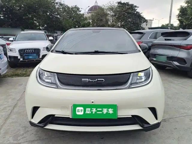 BYD Dolphin — Фото автомобиля 2