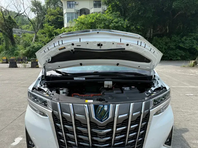 Toyota Alphard — Фото автомобиля 20