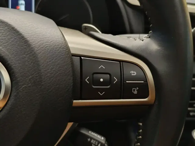 Lexus RX — Фото автомобиля 15