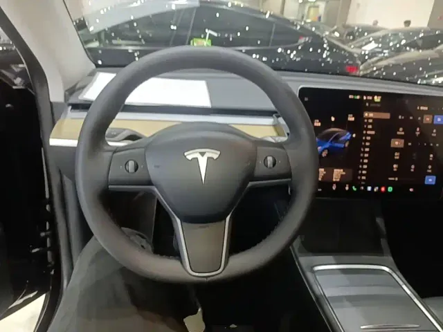 Tesla Model Y — Фото автомобиля 10