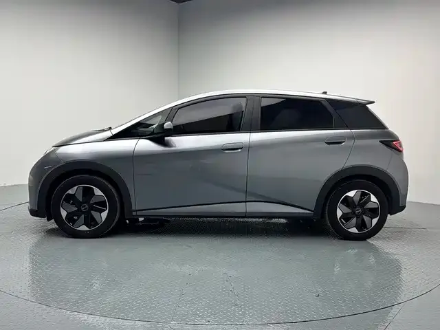 BYD Dolphin — Фото автомобиля 5