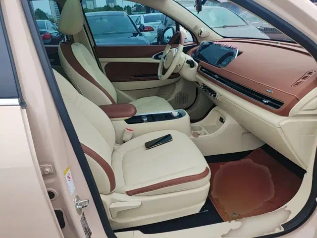 Ora Ora Good Cat 2021 400km Standard Range Athena Edition (LFP) — Фото автомобиля 24