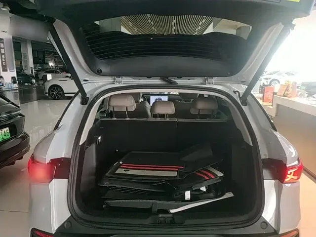 BYD Yuan PLUS 2025 Smart Drive 510KM Surpass Edition — Фото автомобиля 18