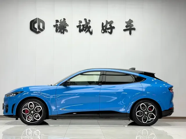Ford Mustang Mach-E — Фото автомобиля 3