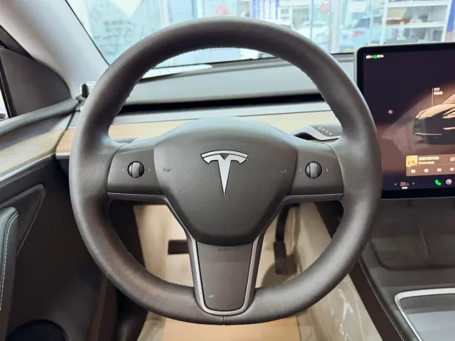 Tesla Model Y — Фото автомобиля 12