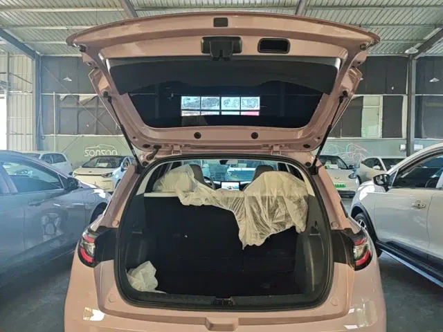 Geely Starry Wish — Фото автомобиля 18