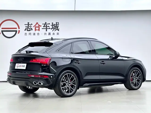 Audi SQ5 — Фото автомобиля 4