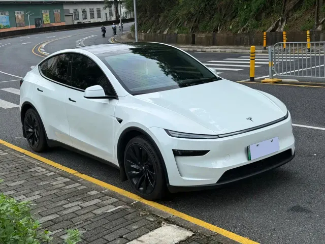 Tesla Model Y — Фото автомобиля 3