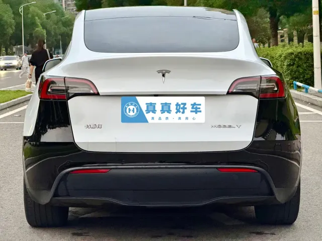 Tesla Model Y — Фото автомобиля 5