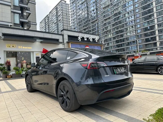Tesla Model Y — Фото автомобиля 10