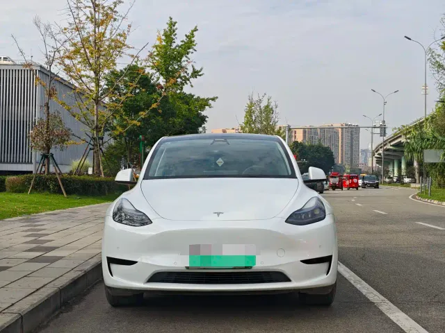 Tesla Model Y — Фото автомобиля 3