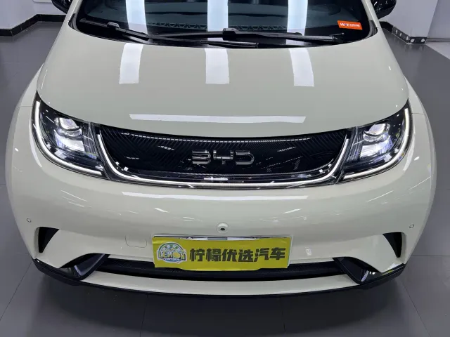 BYD Dolphin — Фото автомобиля 8