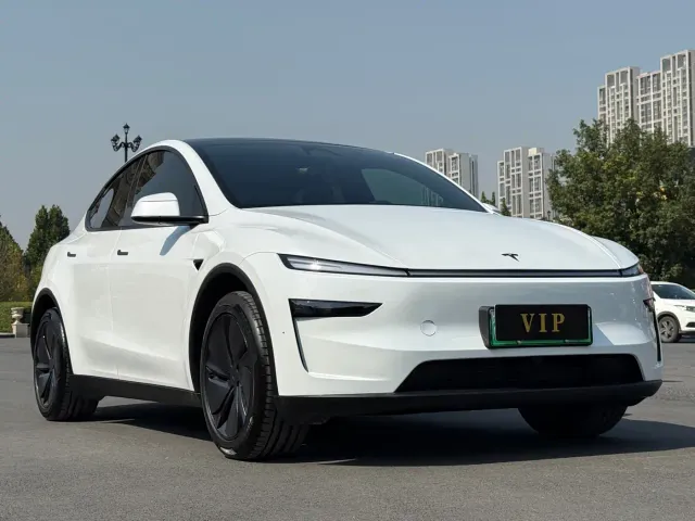 Tesla Model Y — Фото автомобиля 3
