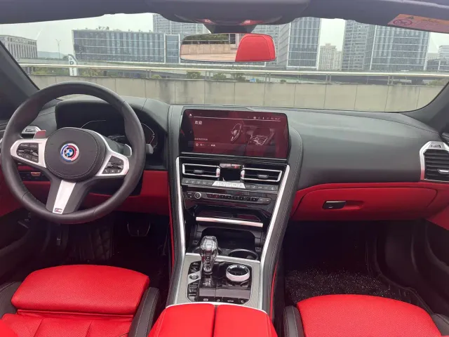 BMW 8 Series — Фото автомобиля 11